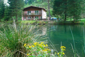 Large holiday flat on the trout farm in Dabo